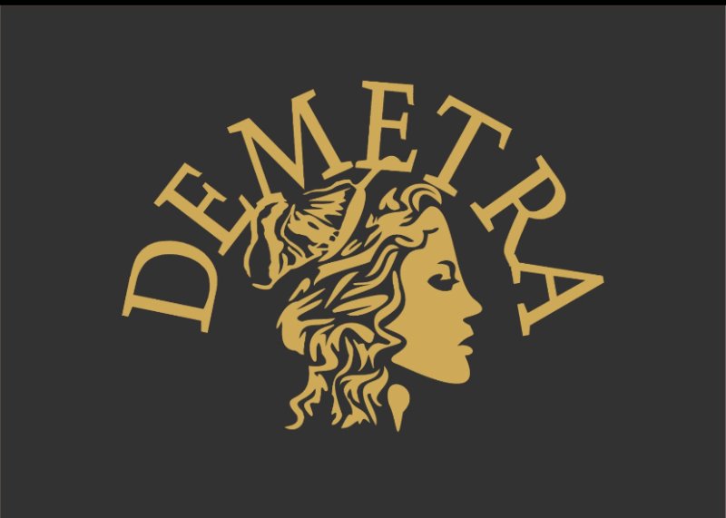 Demetra Grill&Pizza a Novara