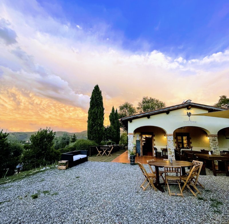 Mixology Farm a Greve in Chianti
